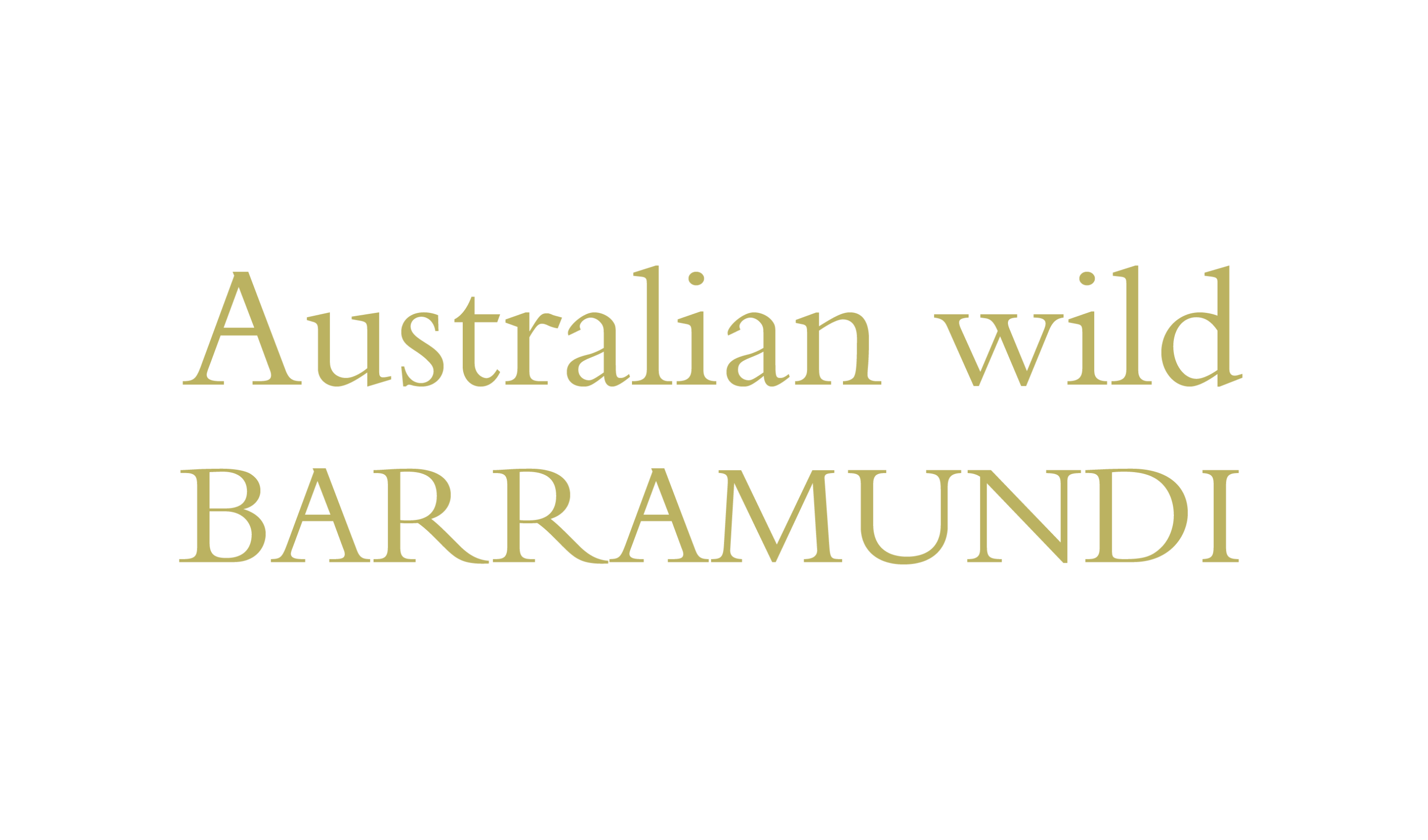 australian-wild-barramundi-