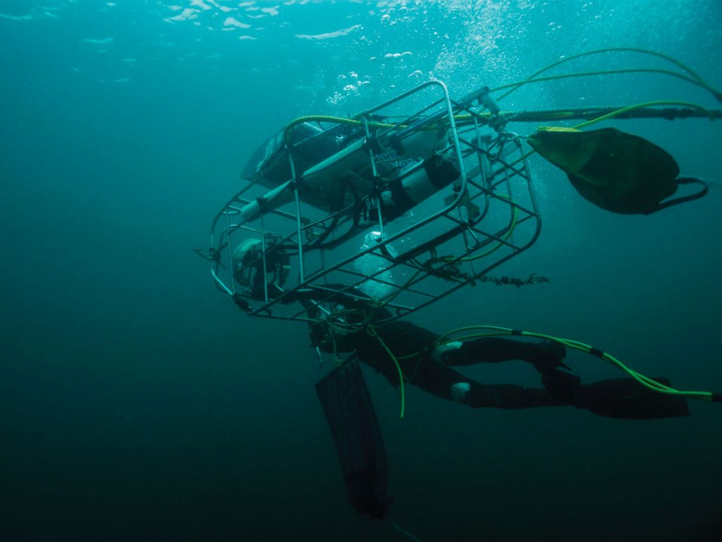 magic-abalone-diving