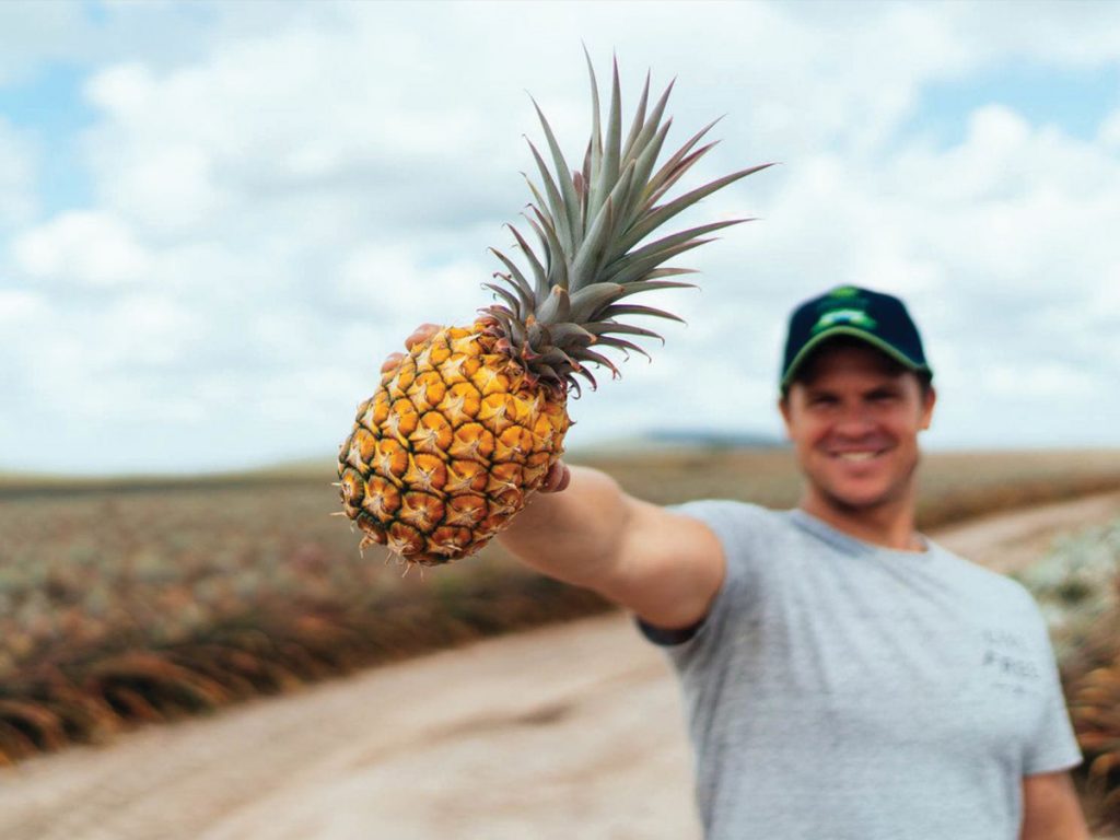 pure-gold-pineapples-agrifutures-australia