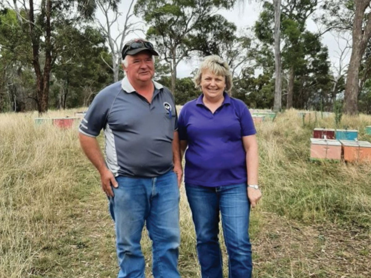 the-kershaws-gundaroo-nsw-honey-fox-march-2022